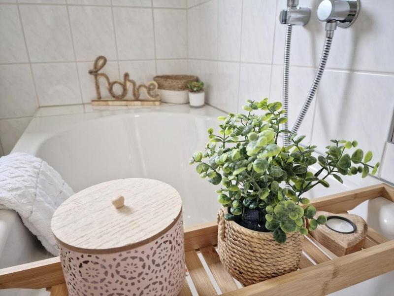 Fewo Naturgetreu Medebach Exterior photo
