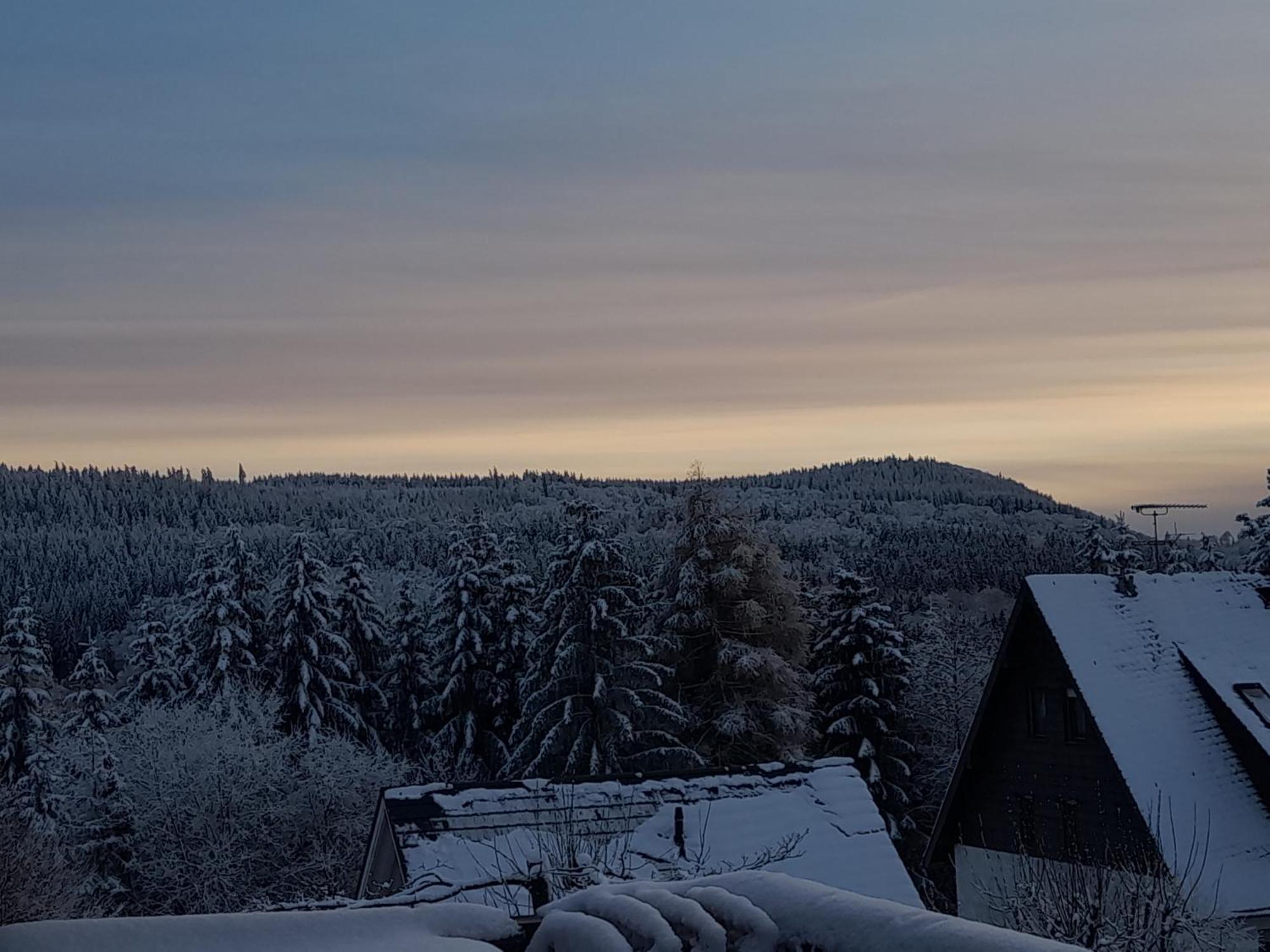 Fewo Naturgetreu Medebach Exterior photo